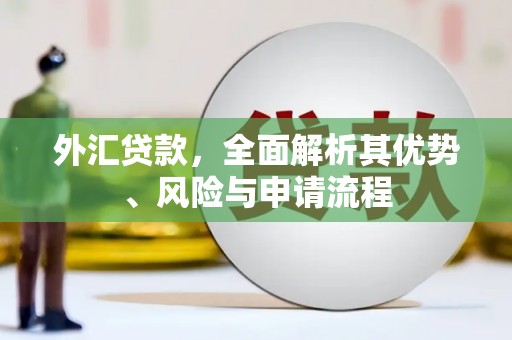 伊犁外汇贷款，全面解析其优势、风险与申请流程