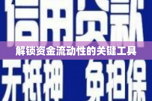 伊犁解锁资金流动性的关键工具