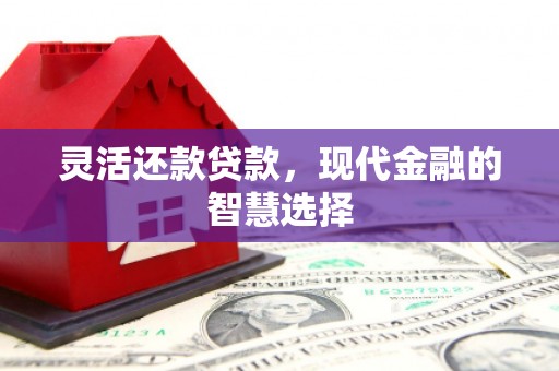 伊犁灵活还款贷款，现代金融的智慧选择