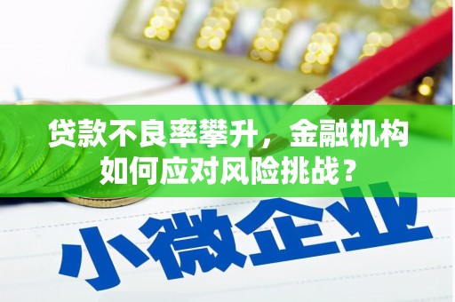 伊犁贷款不良率攀升，金融机构如何应对风险挑战？