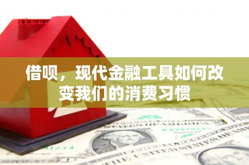 伊犁借呗，现代金融工具如何改变我们的消费习惯