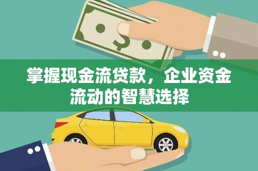 伊犁掌握现金流贷款，企业资金流动的智慧选择