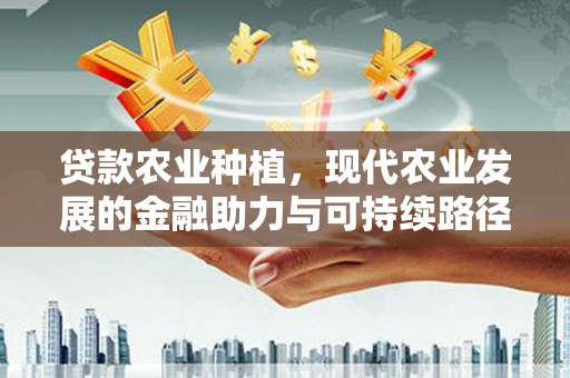 伊犁贷款农业种植，现代农业发展的金融助力与可持续路径