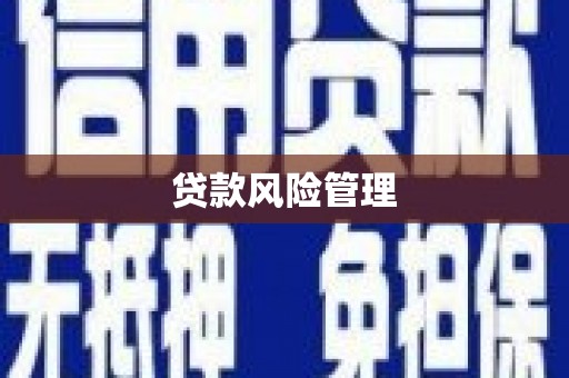 伊犁贷款风险管理