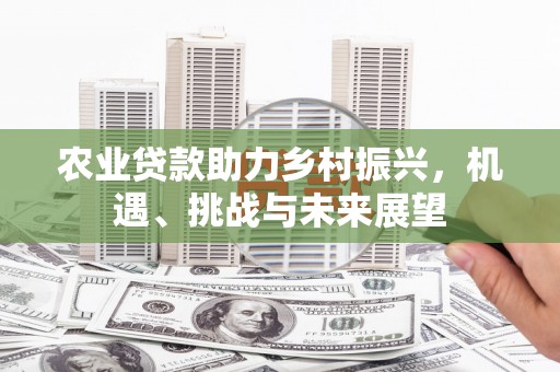 伊犁农业贷款助力乡村振兴，机遇、挑战与未来展望