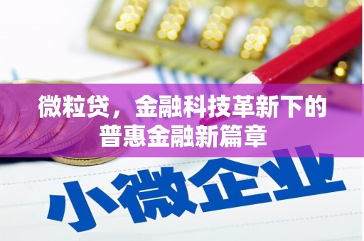 伊犁微粒贷，金融科技革新下的普惠金融新篇章