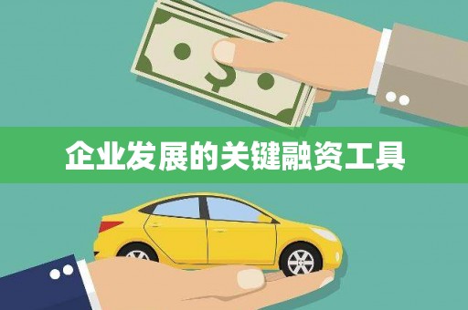 伊犁企业发展的关键融资工具
