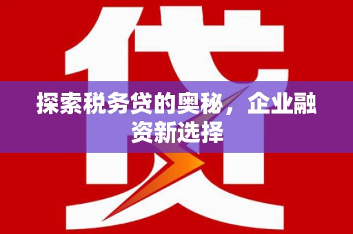 伊犁探索税务贷的奥秘，企业融资新选择