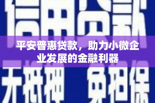 伊犁平安普惠贷款，助力小微企业发展的金融利器
