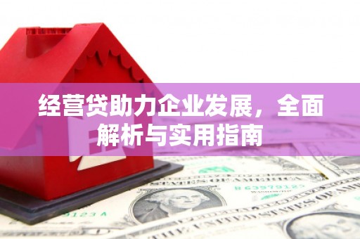 伊犁经营贷助力企业发展，全面解析与实用指南