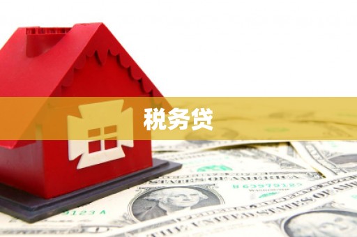 伊犁税务贷