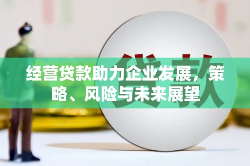 伊犁经营贷款助力企业发展，策略、风险与未来展望