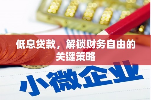 伊犁低息贷款，解锁财务自由的关键策略