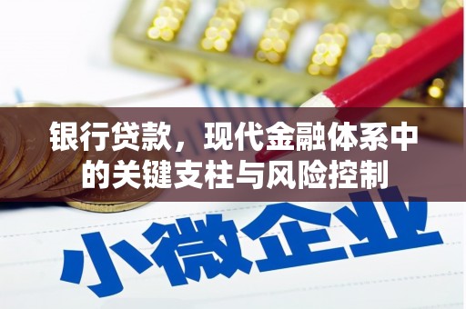 伊犁银行贷款，现代金融体系中的关键支柱与风险控制