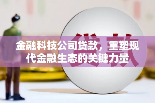 伊犁金融科技公司贷款，重塑现代金融生态的关键力量