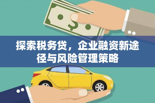 伊犁探索税务贷，企业融资新途径与风险管理策略