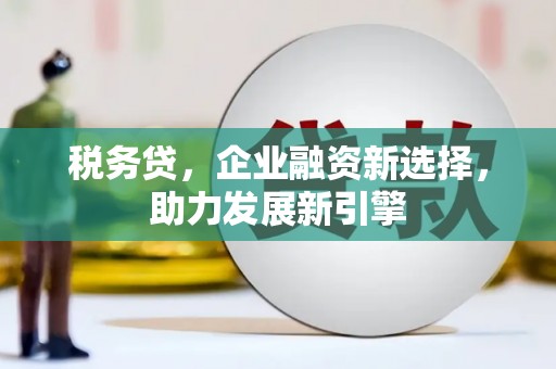 伊犁税务贷，企业融资新选择，助力发展新引擎