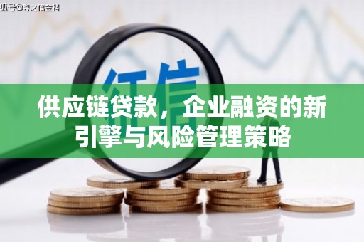 伊犁供应链贷款，企业融资的新引擎与风险管理策略