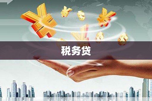 伊犁税务贷