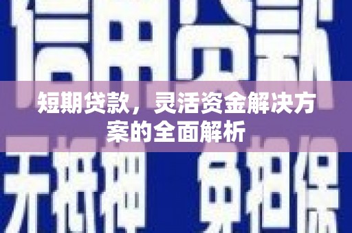 伊犁短期贷款，灵活资金解决方案的全面解析
