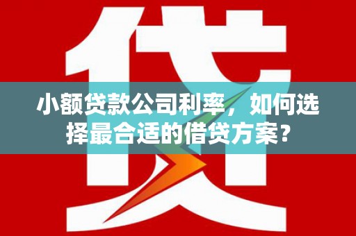 伊犁小额贷款公司利率，如何选择最合适的借贷方案？