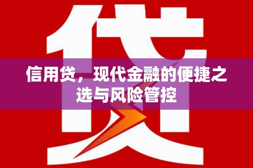 伊犁信用贷，现代金融的便捷之选与风险管控