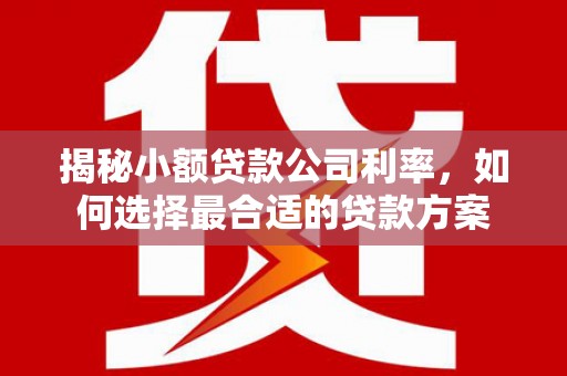 伊犁揭秘小额贷款公司利率，如何选择最合适的贷款方案
