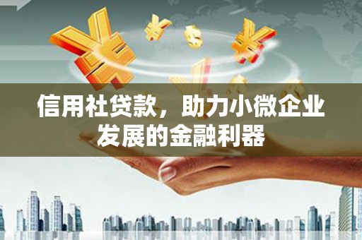 伊犁信用社贷款，助力小微企业发展的金融利器