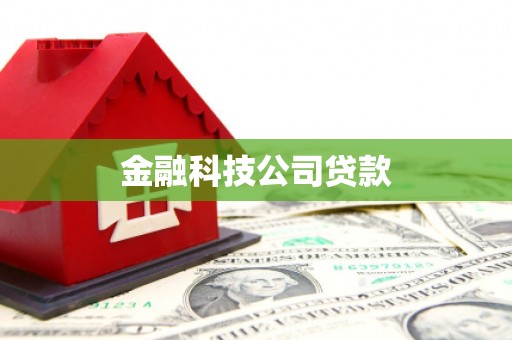 伊犁金融科技公司贷款