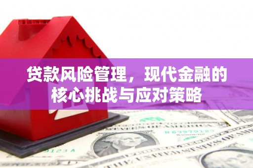 伊犁贷款风险管理，现代金融的核心挑战与应对策略