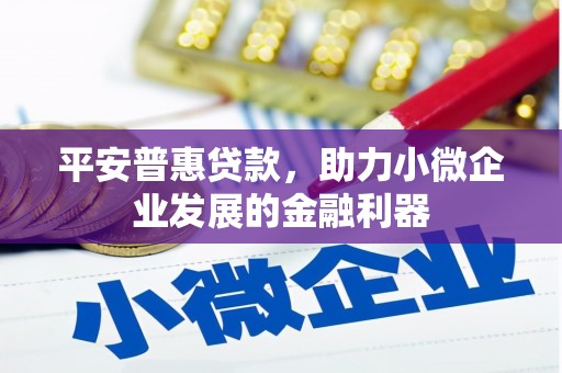 伊犁平安普惠贷款，助力小微企业发展的金融利器