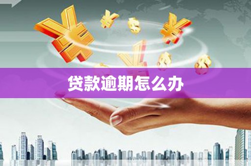 伊犁贷款逾期怎么办