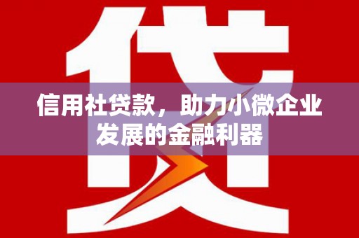 伊犁信用社贷款，助力小微企业发展的金融利器
