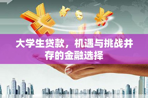 伊犁大学生贷款，机遇与挑战并存的金融选择