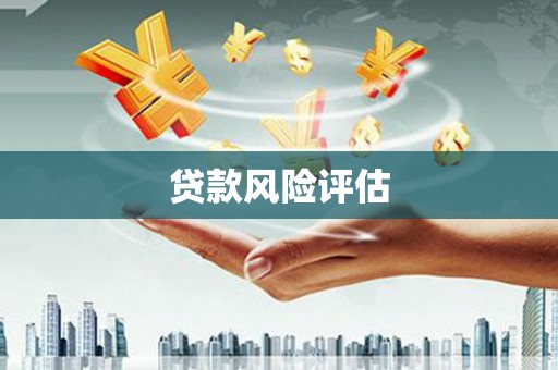伊犁贷款风险评估