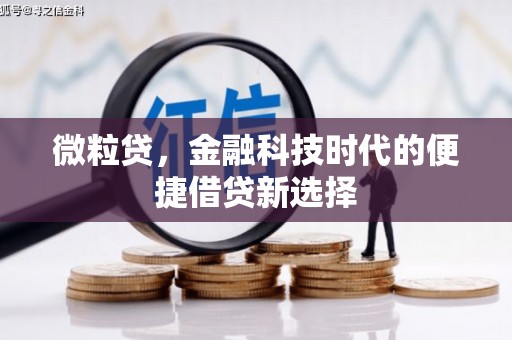 伊犁微粒贷，金融科技时代的便捷借贷新选择