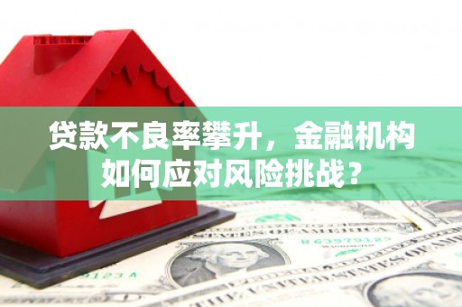 伊犁贷款不良率攀升，金融机构如何应对风险挑战？
