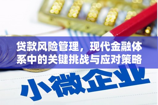 伊犁贷款风险管理，现代金融体系中的关键挑战与应对策略