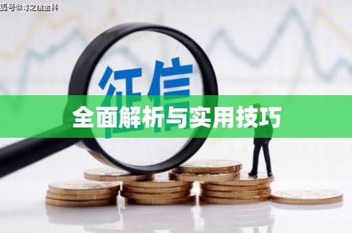 伊犁全面解析与实用技巧