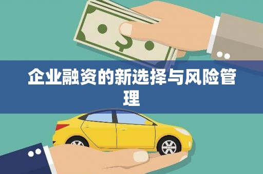 伊犁企业融资的新选择与风险管理