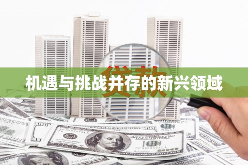 伊犁机遇与挑战并存的新兴领域